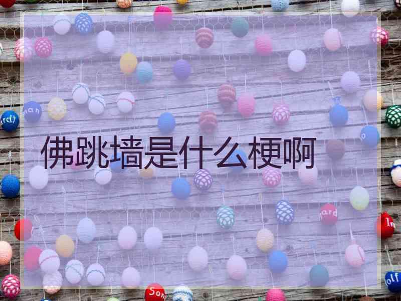 佛跳墙是什么梗啊