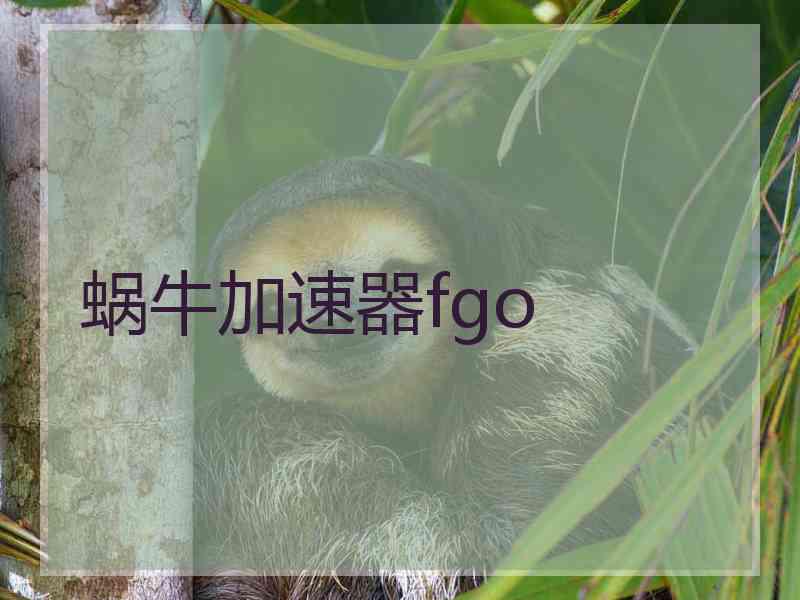 蜗牛加速器fgo