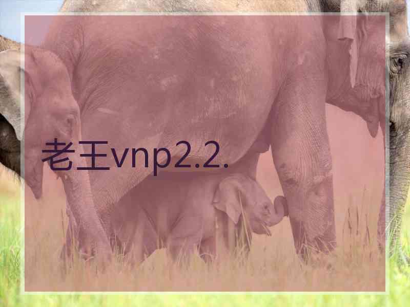 老王vnp2.2.