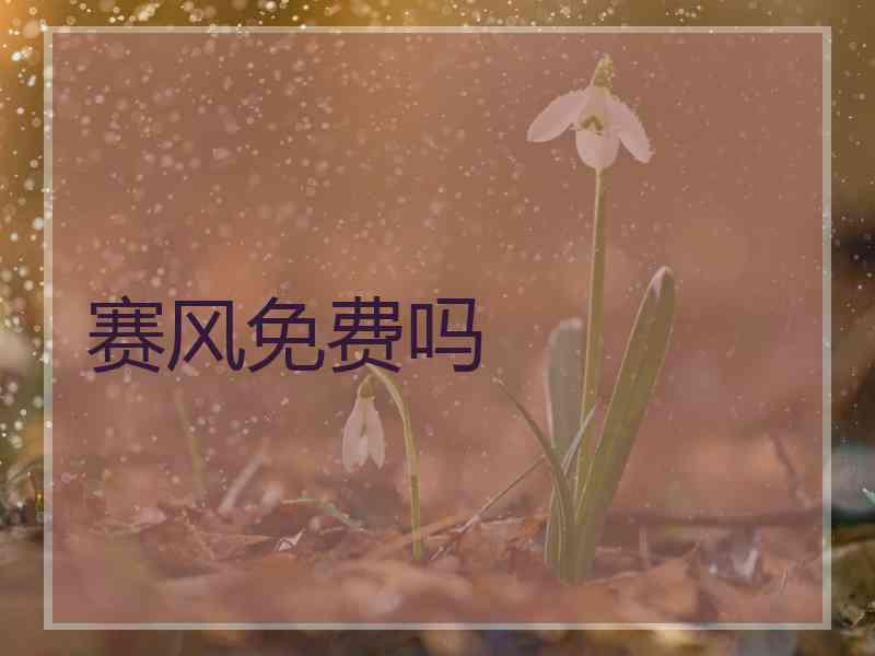 赛风免费吗