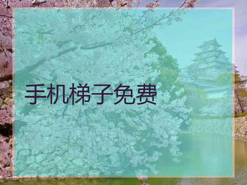 手机梯子免费