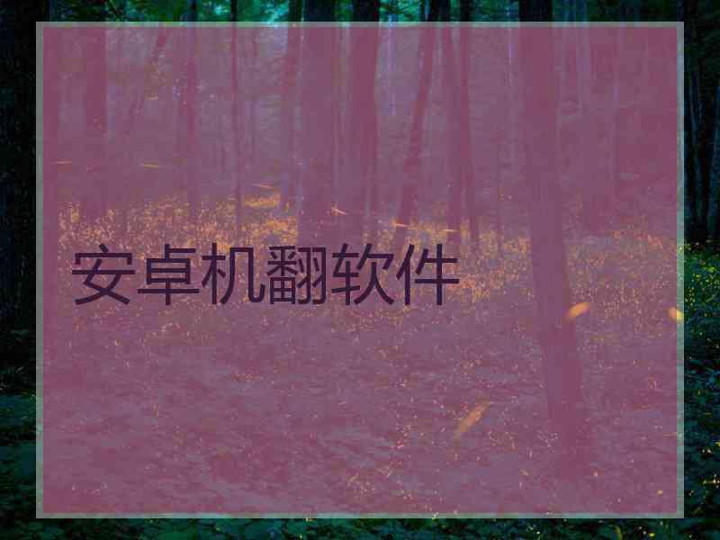 安卓机翻软件