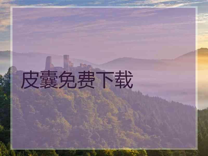 皮囊免费下载