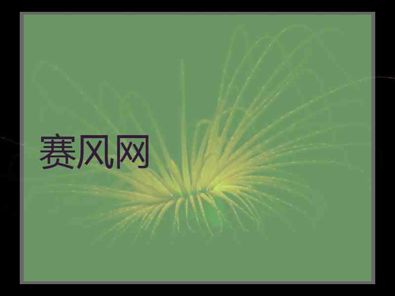 赛风网