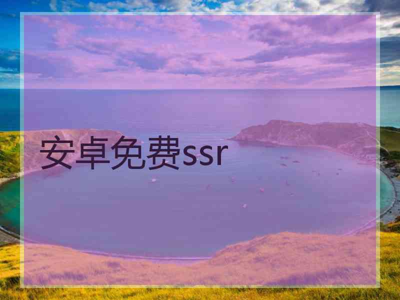 安卓免费ssr