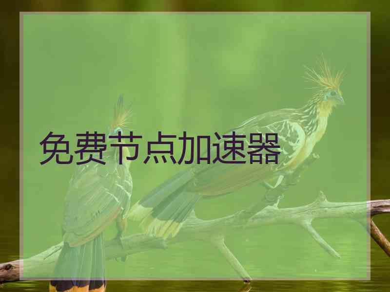 免费节点加速器
