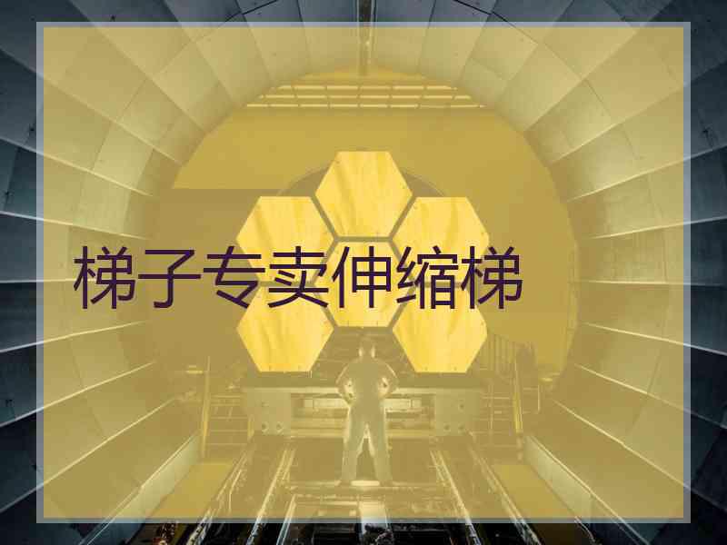 梯子专卖伸缩梯