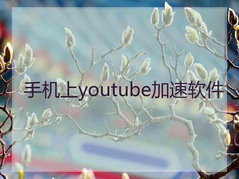 手机上youtube加速软件