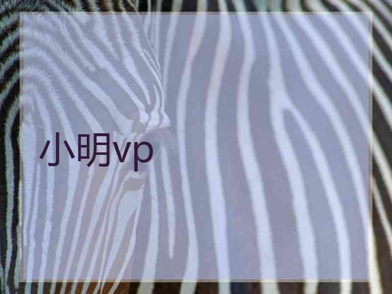 小明vp