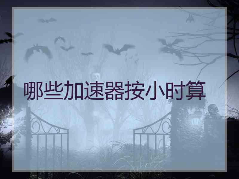 哪些加速器按小时算