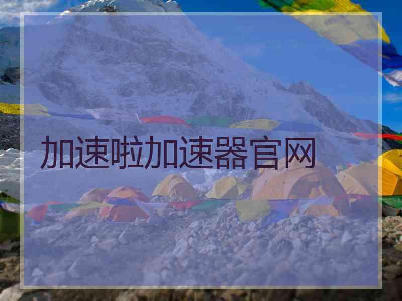加速啦加速器官网
