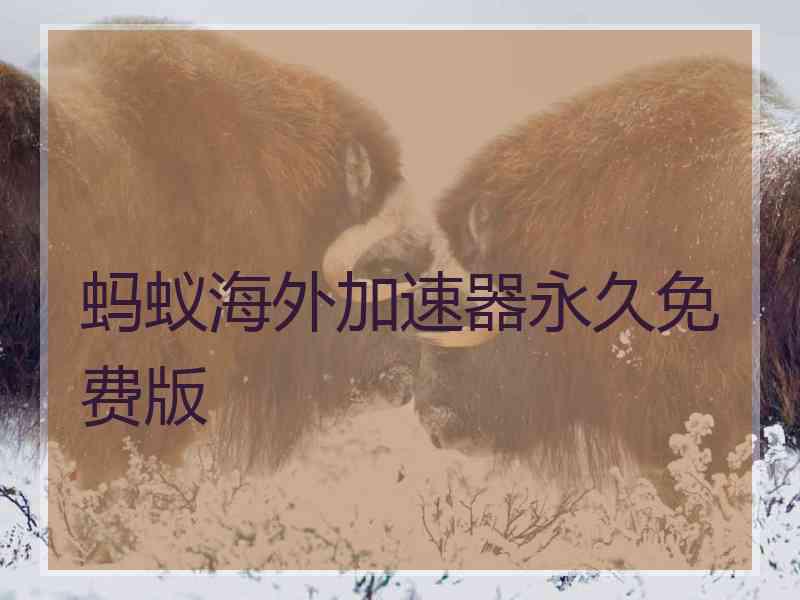 蚂蚁海外加速器永久免费版