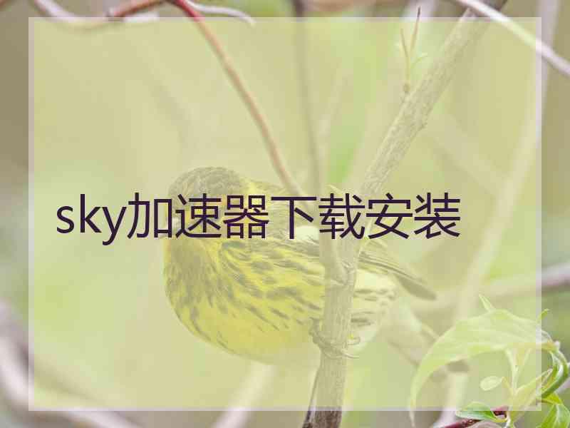 sky加速器下载安装