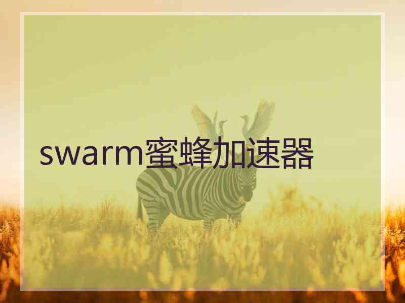 swarm蜜蜂加速器