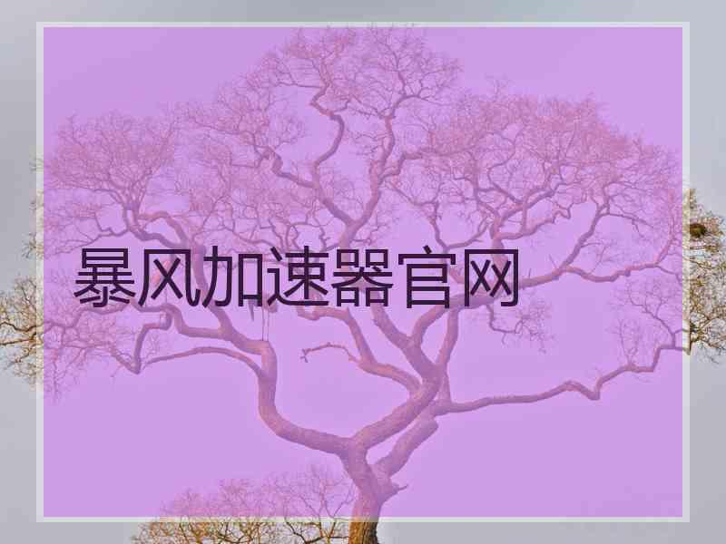暴风加速器官网
