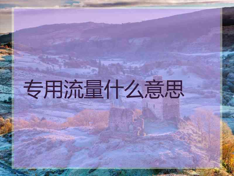 专用流量什么意思