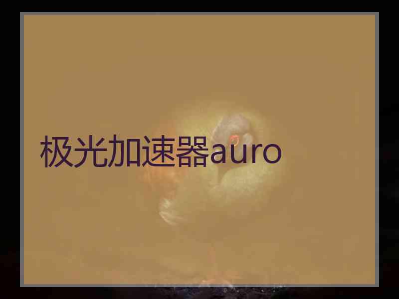 极光加速器auro