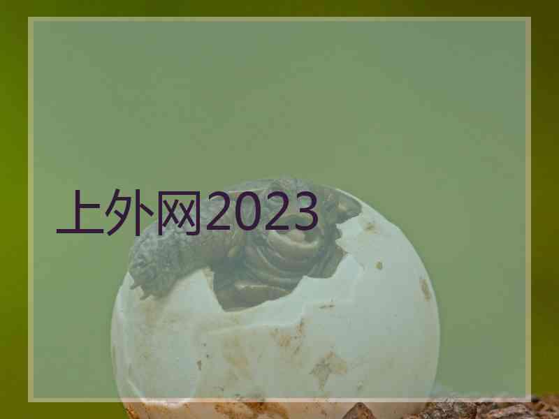 上外网2023