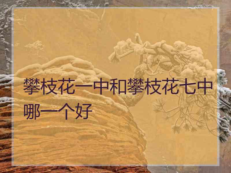 攀枝花一中和攀枝花七中哪一个好