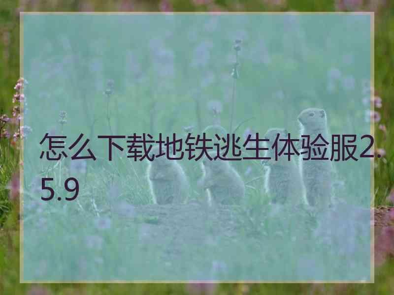 怎么下载地铁逃生体验服2.5.9