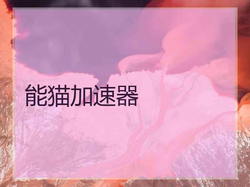 能猫加速器