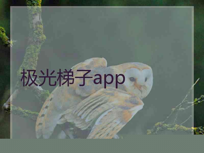 极光梯子app