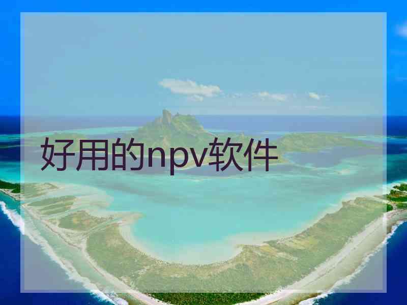 好用的npv软件