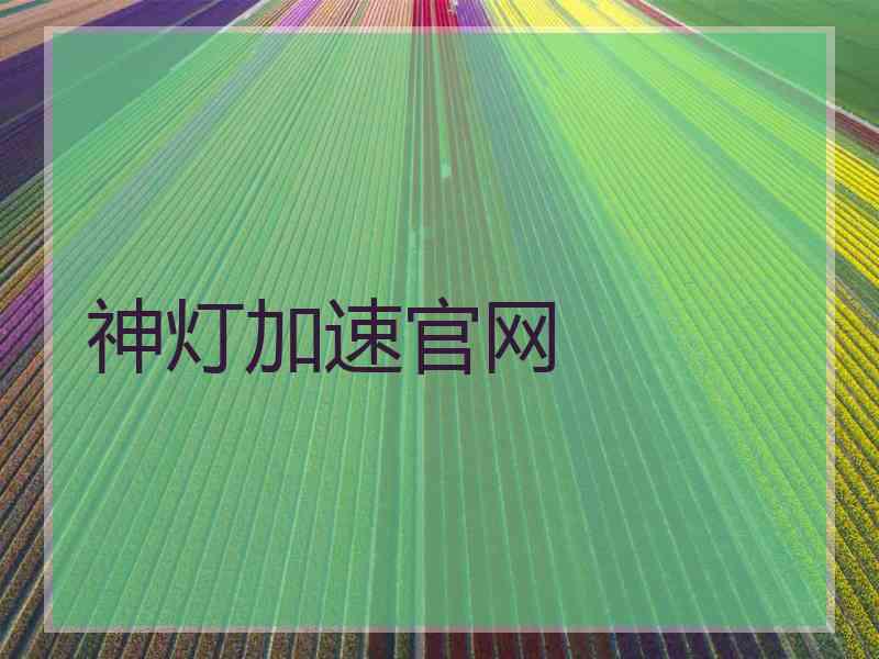 神灯加速官网