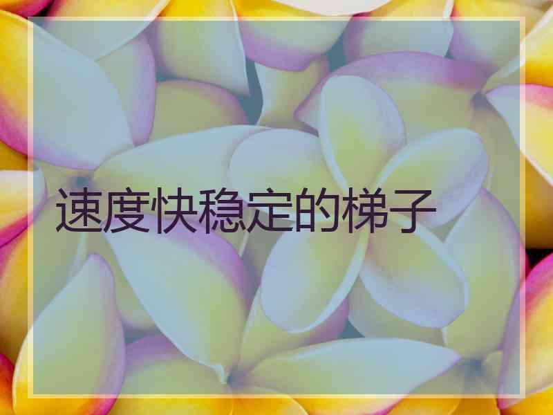 速度快稳定的梯子