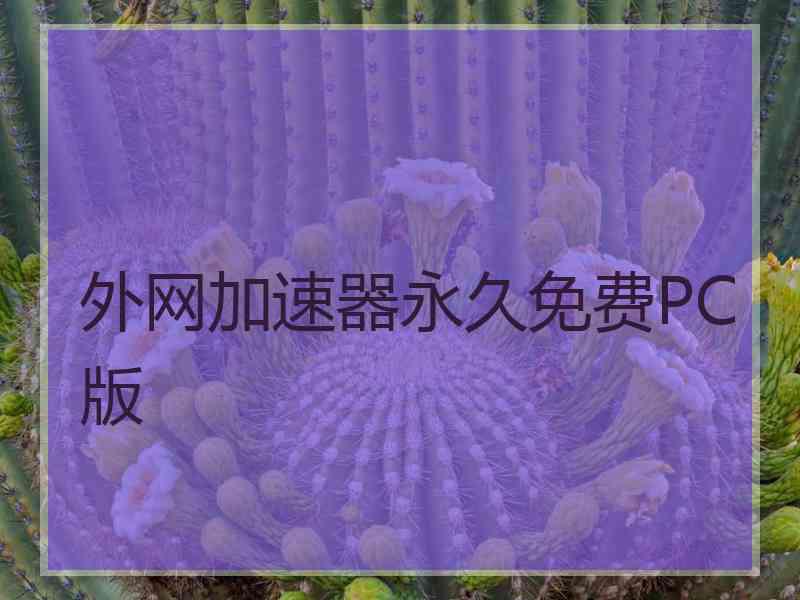 外网加速器永久免费PC版