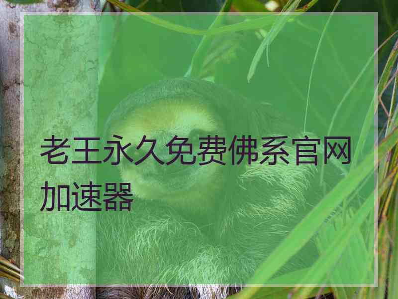 老王永久免费佛系官网加速器
