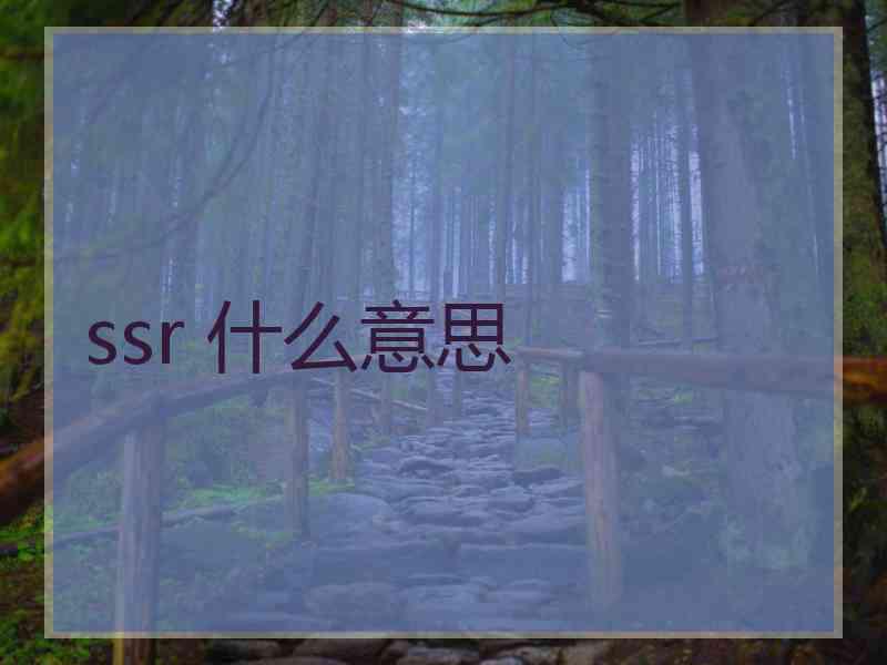 ssr 什么意思
