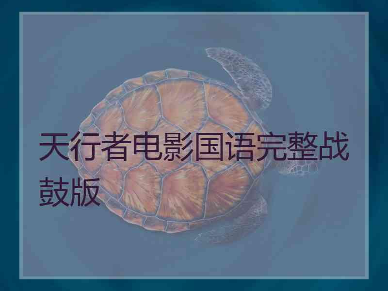 天行者电影国语完整战鼓版