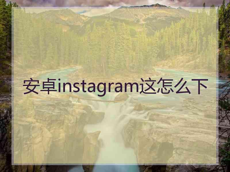 安卓instagram这怎么下