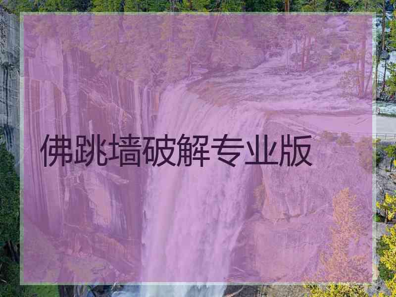 佛跳墙破解专业版