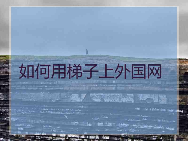 如何用梯子上外国网