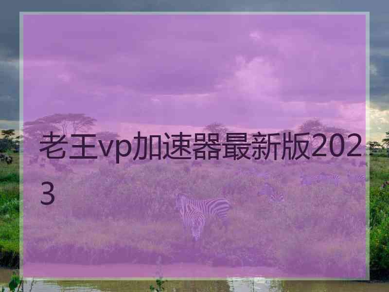 老王vp加速器最新版2023