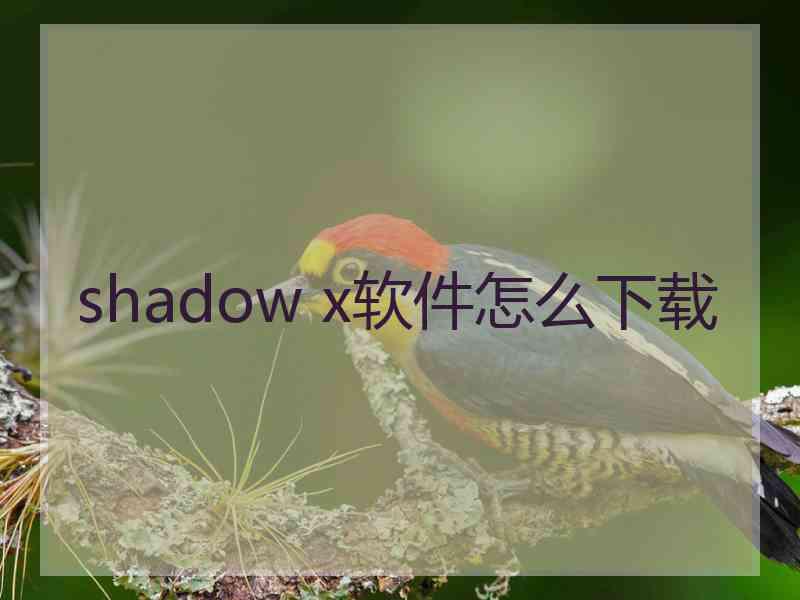 shadow x软件怎么下载