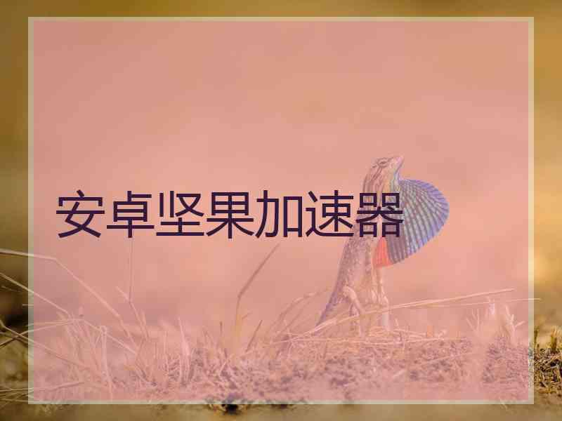 安卓坚果加速器