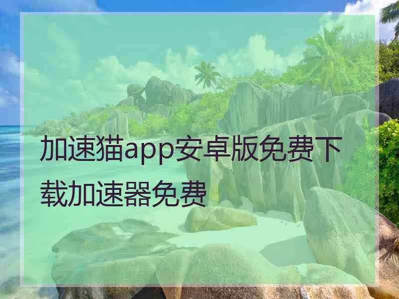 加速猫app安卓版免费下载加速器免费