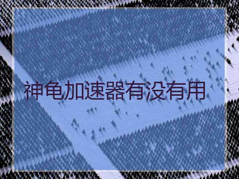 神龟加速器有没有用