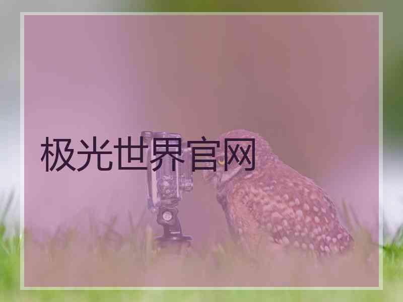 极光世界官网
