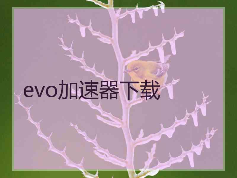 evo加速器下载