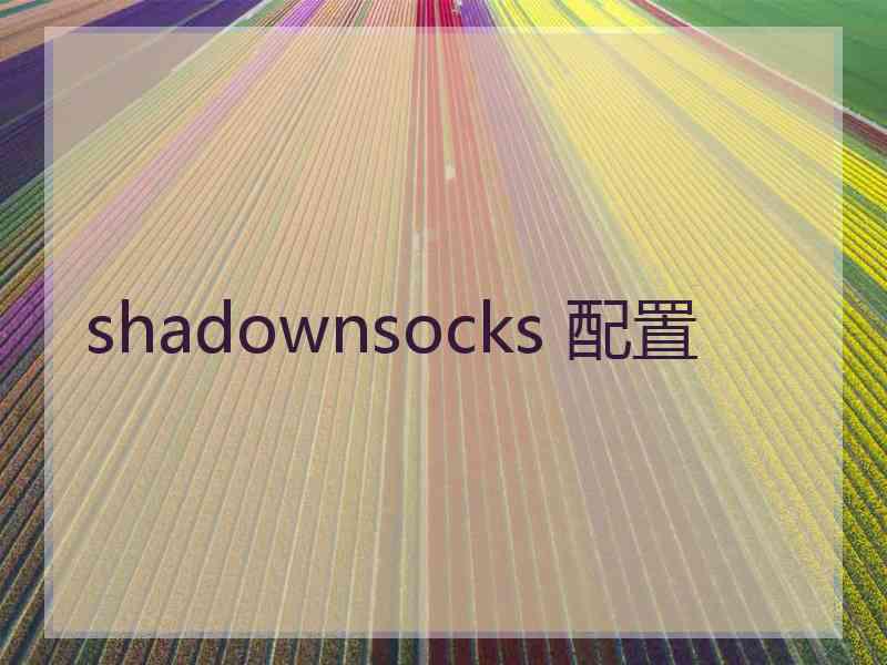shadownsocks 配置