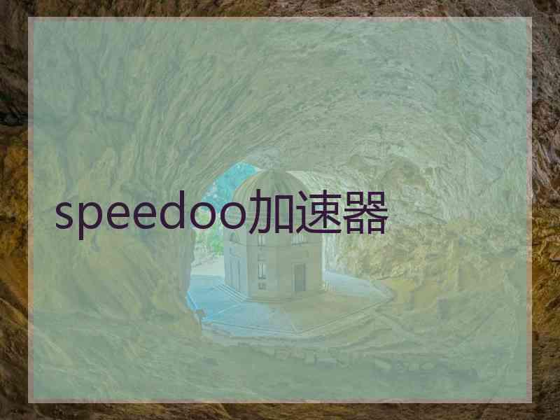 speedoo加速器