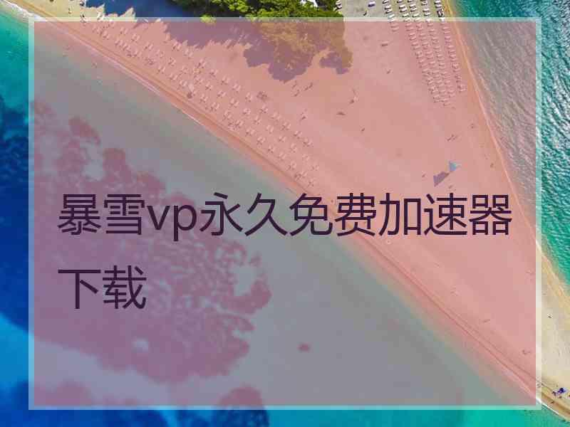 暴雪vp永久免费加速器下载