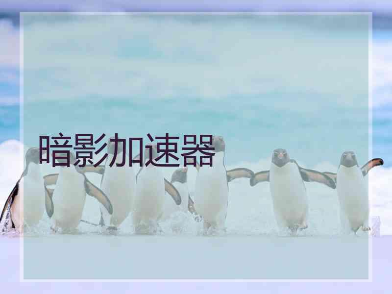 暗影加速器