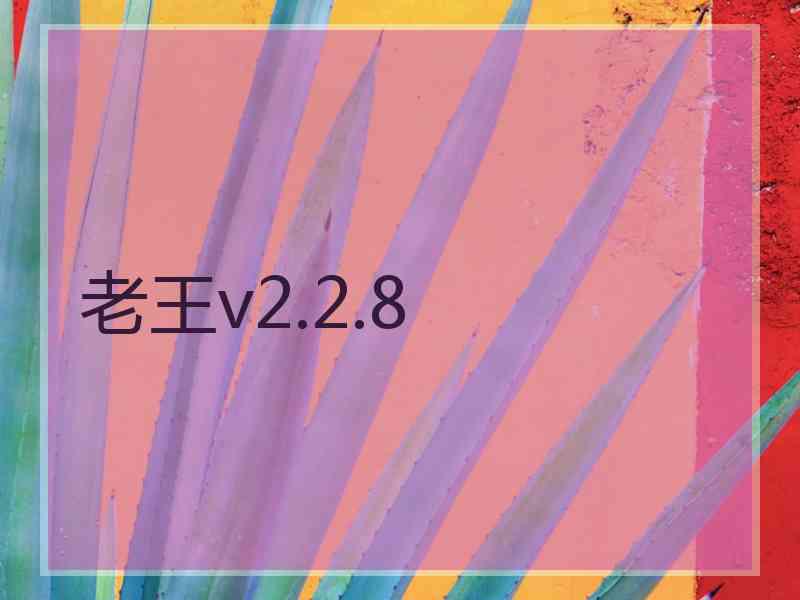 老王v2.2.8