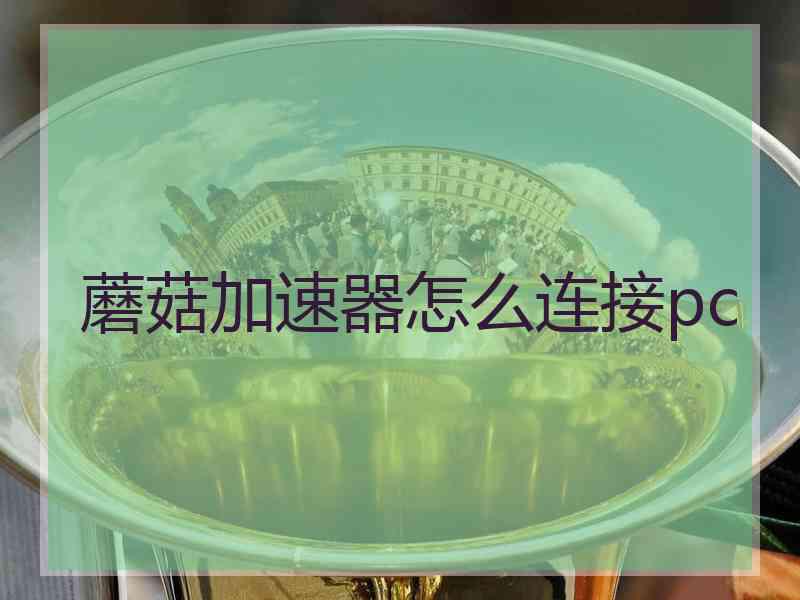 蘑菇加速器怎么连接pc