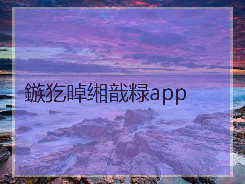 鏃犵晫缃戠粶app